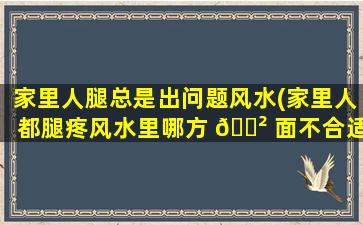 家里人腿总是出问题风水(家里人都腿疼风水里哪方 🌲 面不合适)